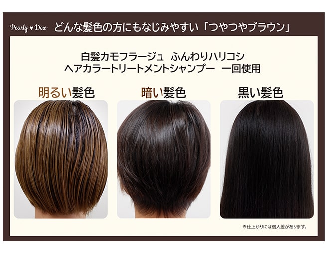 白髪カモフラージュ ふんわりハリコシ ヘアカラートリートメントシャンプー