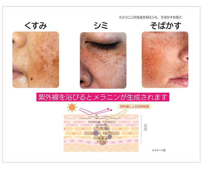 薬用リンクルモイスチャーセラムP